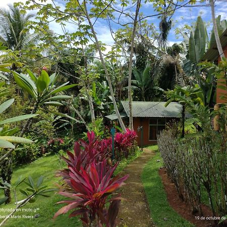 Hotel Mirador Osa Mogos ภายนอก รูปภาพ