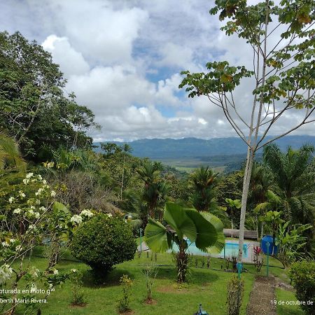 Hotel Mirador Osa Mogos ภายนอก รูปภาพ