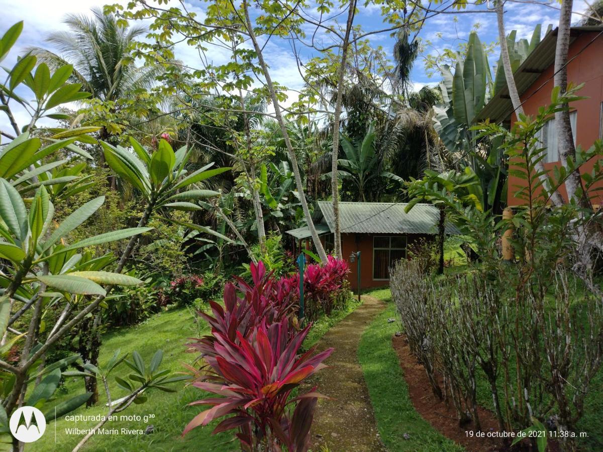 Hotel Mirador Osa Mogos ภายนอก รูปภาพ