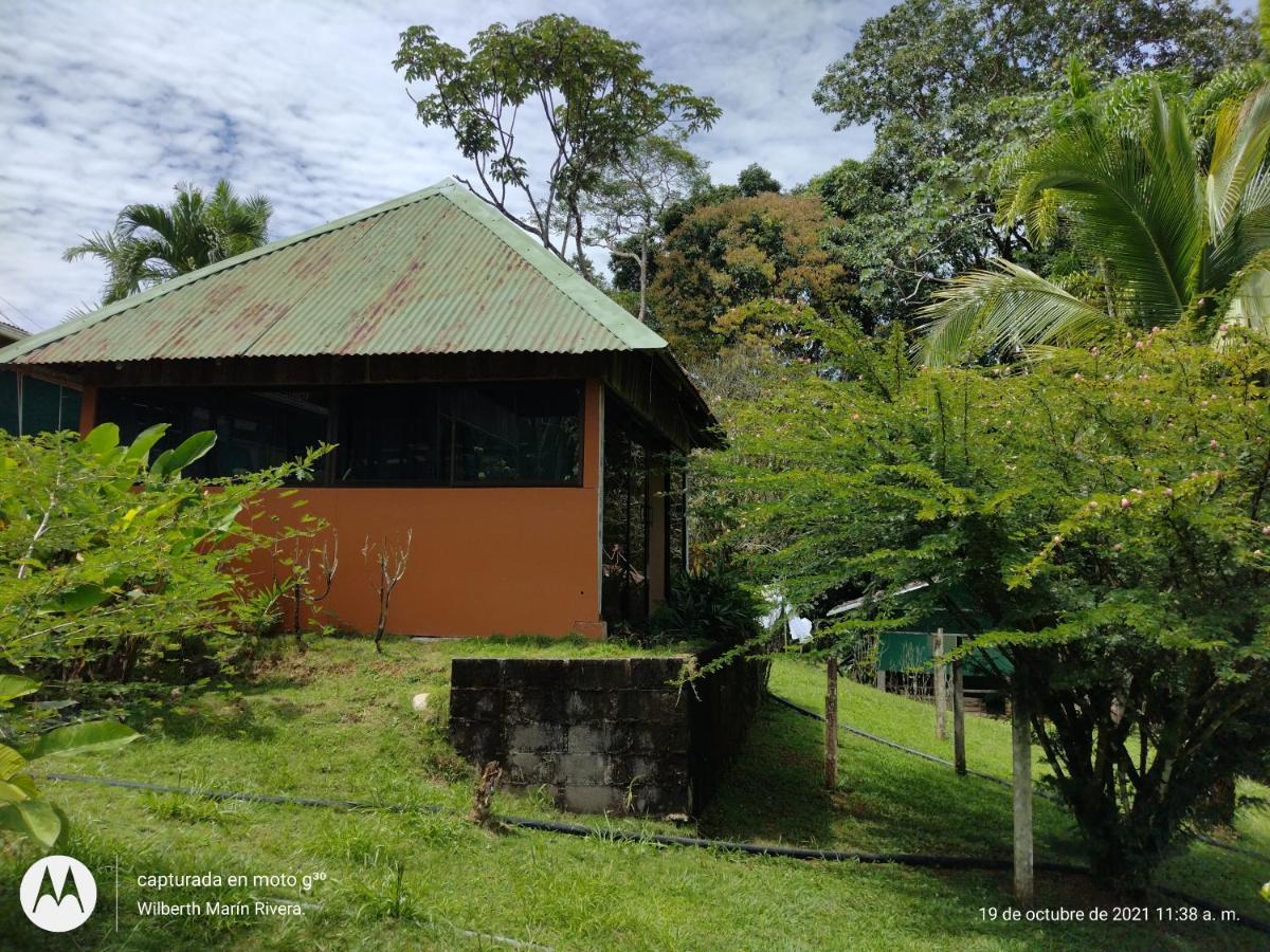Hotel Mirador Osa Mogos ภายนอก รูปภาพ
