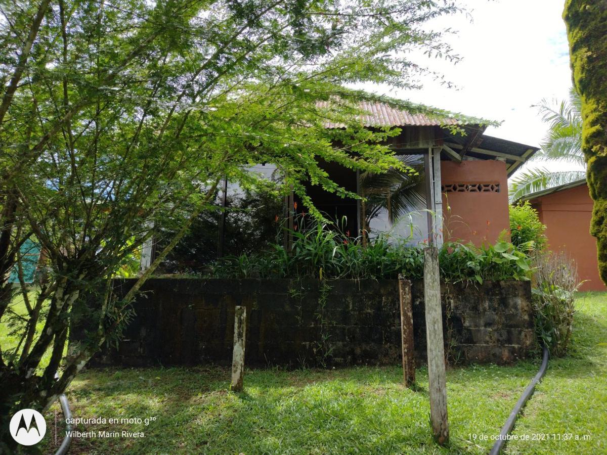Hotel Mirador Osa Mogos ภายนอก รูปภาพ