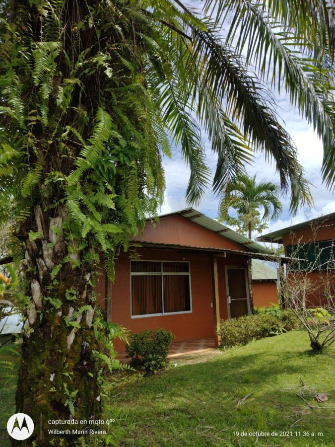 Hotel Mirador Osa Mogos ภายนอก รูปภาพ