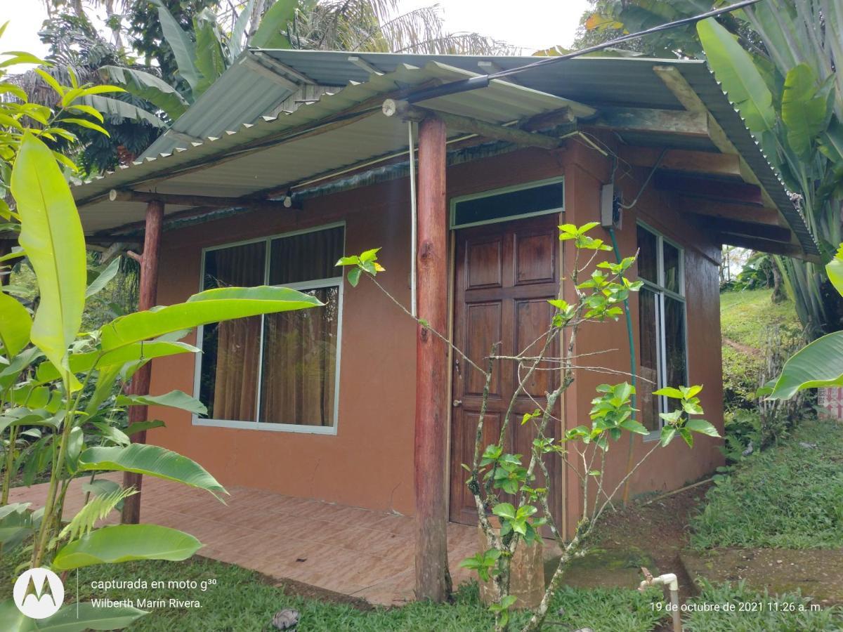 Hotel Mirador Osa Mogos ภายนอก รูปภาพ