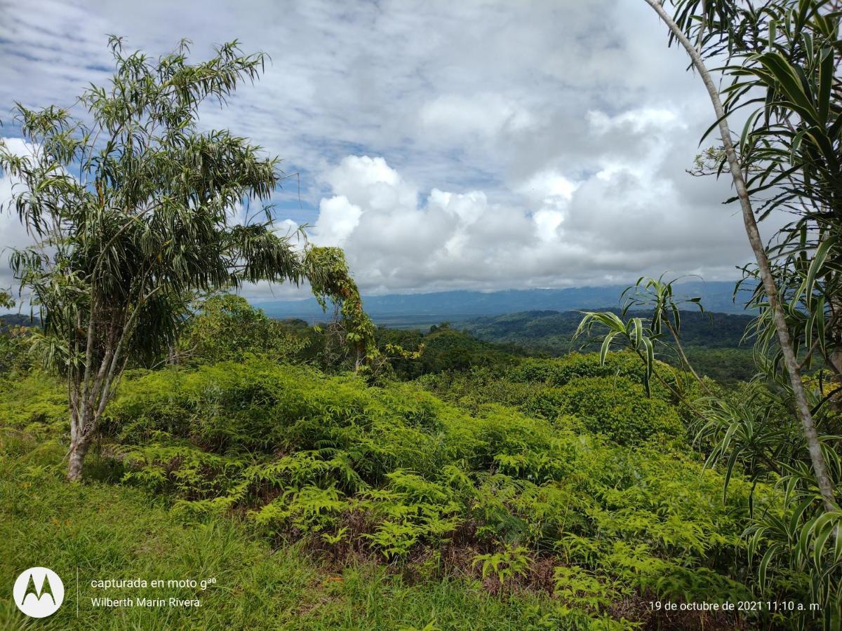 Hotel Mirador Osa Mogos ภายนอก รูปภาพ