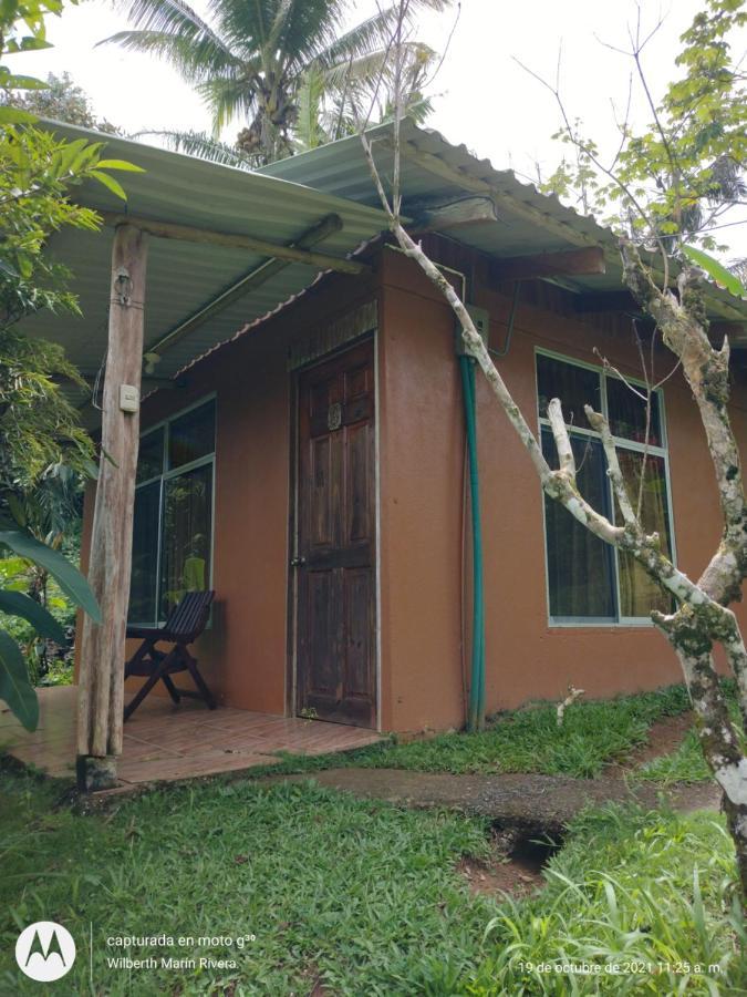 Hotel Mirador Osa Mogos ภายนอก รูปภาพ