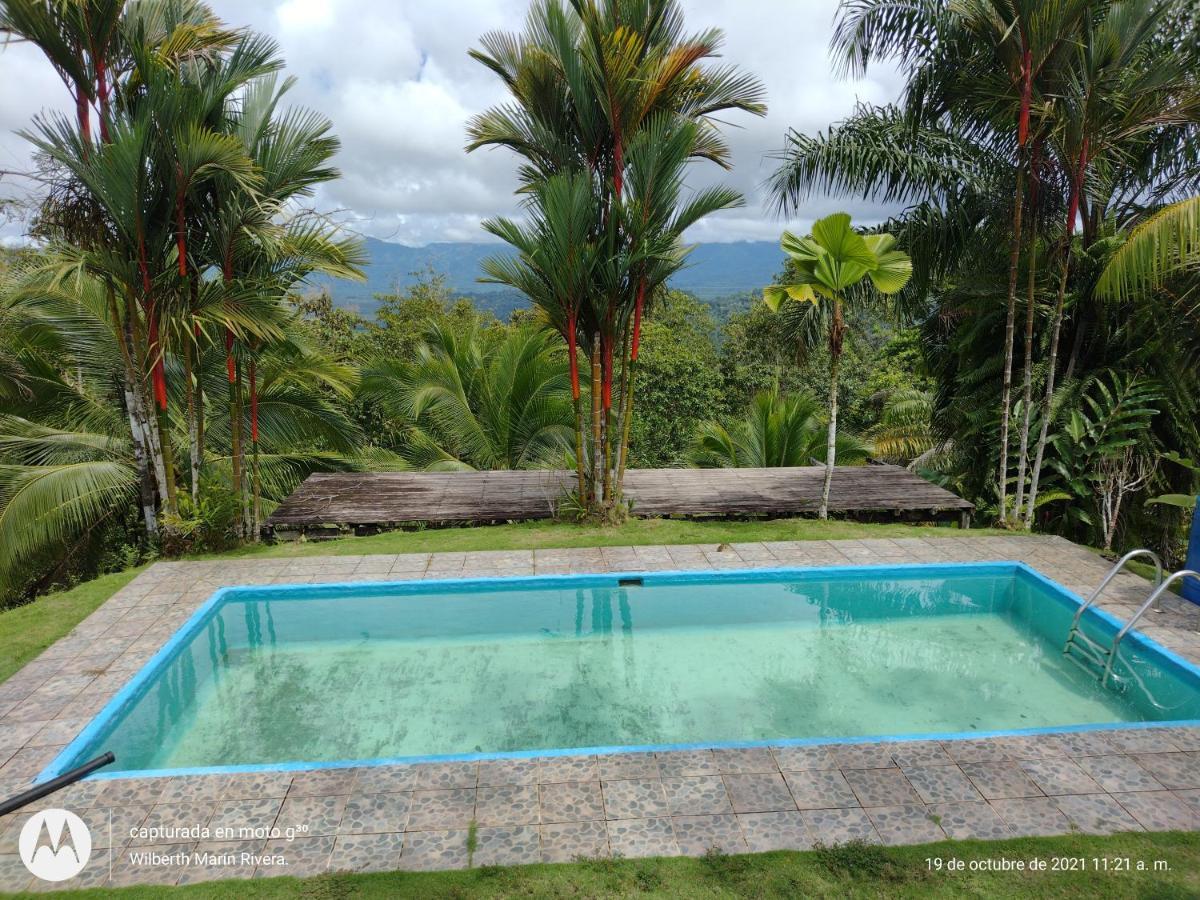 Hotel Mirador Osa Mogos ภายนอก รูปภาพ