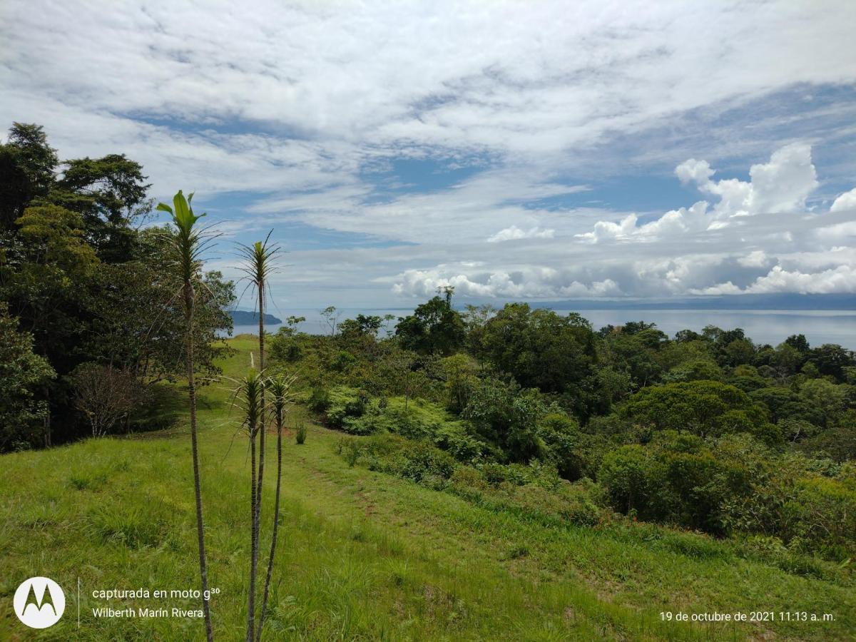 Hotel Mirador Osa Mogos ภายนอก รูปภาพ