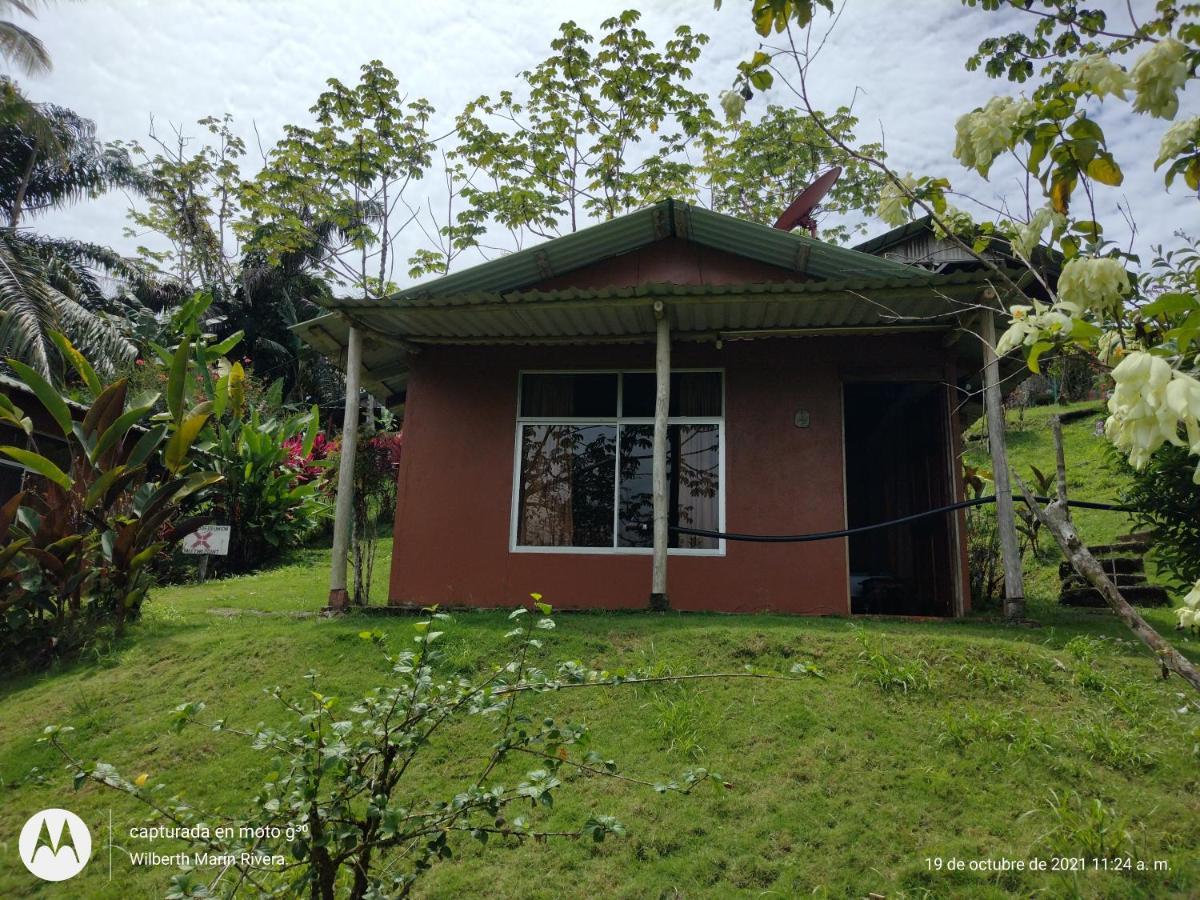 Hotel Mirador Osa Mogos ภายนอก รูปภาพ