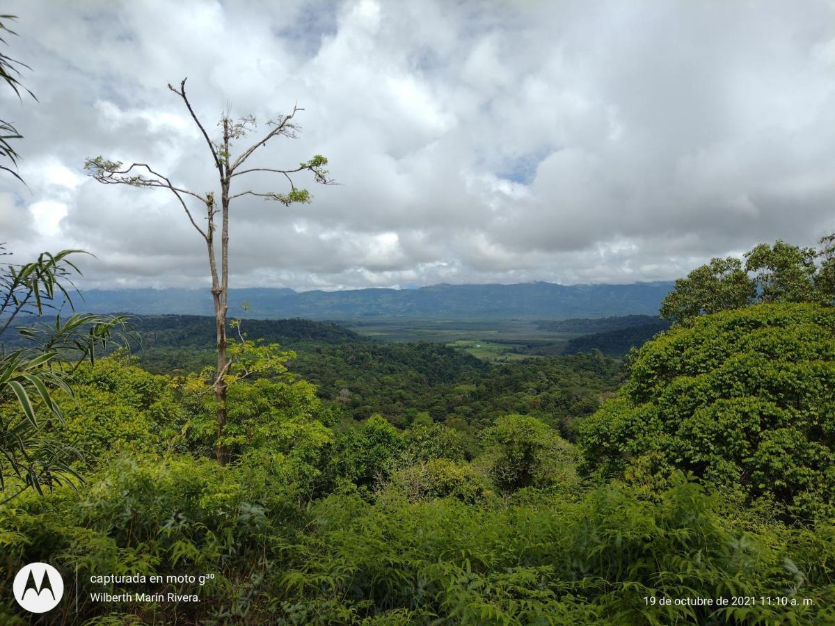 Hotel Mirador Osa Mogos ภายนอก รูปภาพ