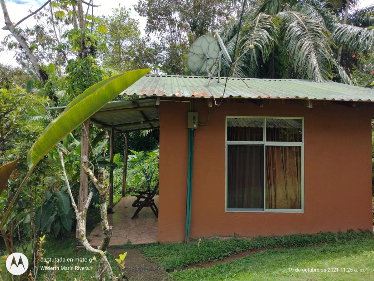 Hotel Mirador Osa Mogos ภายนอก รูปภาพ