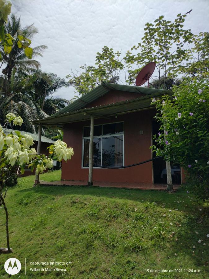 Hotel Mirador Osa Mogos ภายนอก รูปภาพ