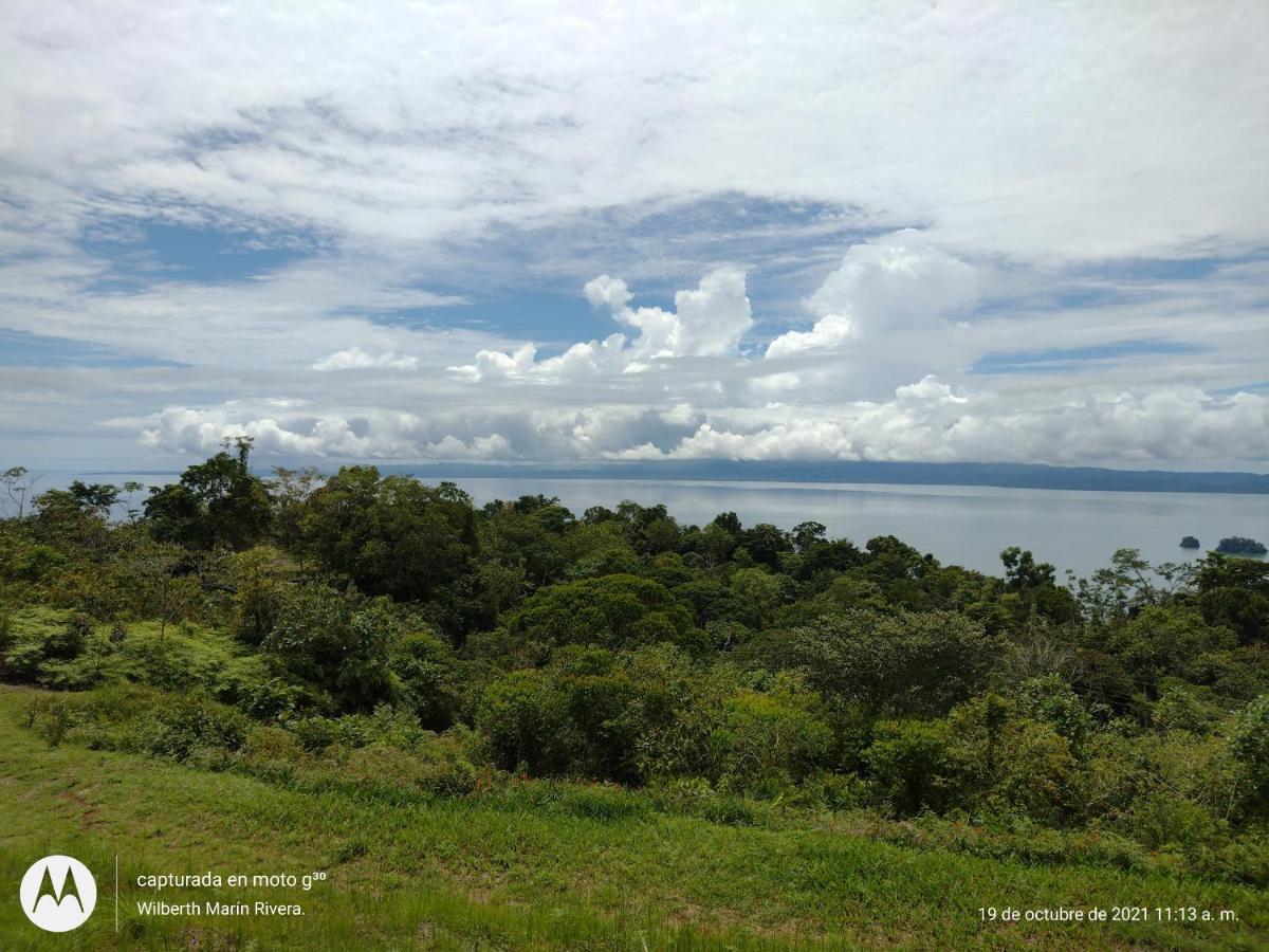 Hotel Mirador Osa Mogos ภายนอก รูปภาพ