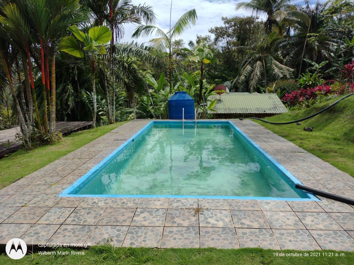 Hotel Mirador Osa Mogos ภายนอก รูปภาพ