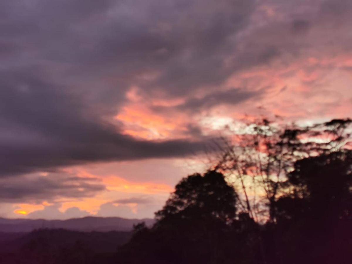 Hotel Mirador Osa Mogos ภายนอก รูปภาพ